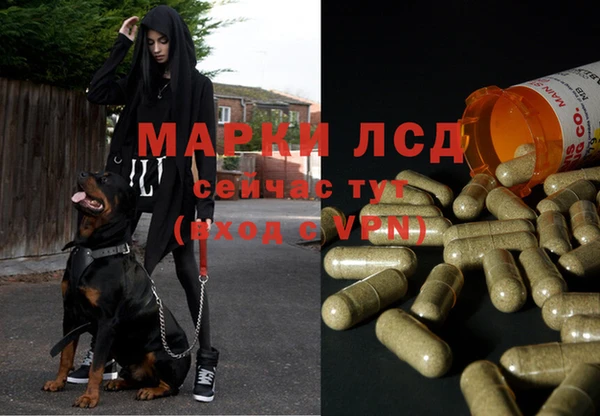 стафф Алексеевка