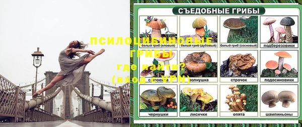 стафф Алексеевка