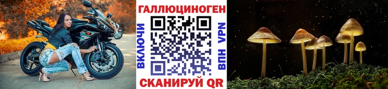 как найти закладки  Междуреченск  Галлюциногенные грибы GOLDEN TEACHER 